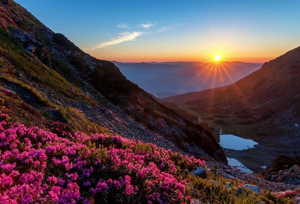 Sonnenaufgang am Almsee